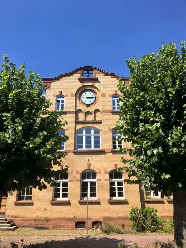 Blick auf eine helle Hausfassade mit einer runden Uhr durch grünes Laub, Standort Landau